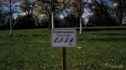 Schilderland Stuttgart - Erik von der Goltz 22