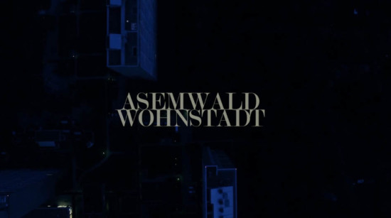 Asemwald Wohnstadt